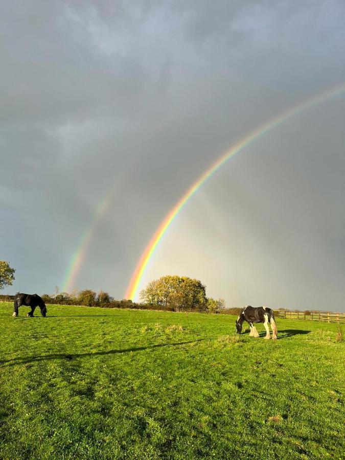 Appaloosa Suite With Amazing Views Of Stud Farm. Driffield Luaran gambar